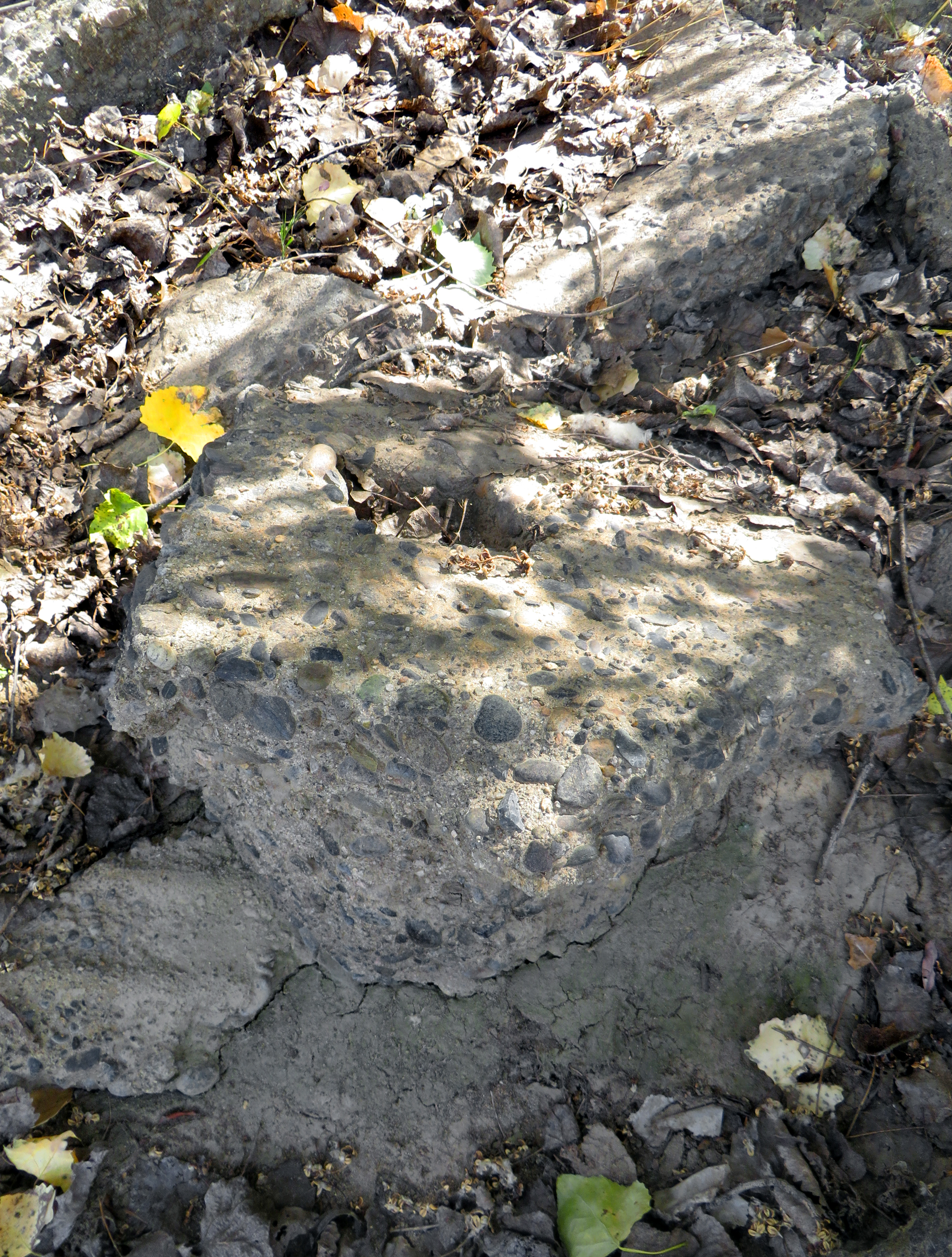 Concrete rubble on the south bank of Kings River, west of the Laton Bridge at Fowler Ave.