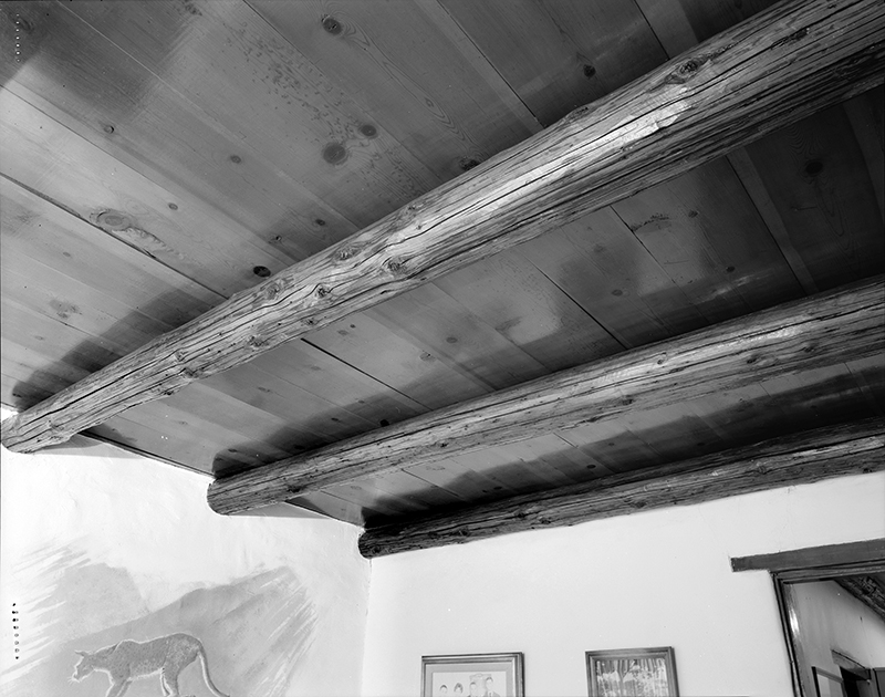 INTERIOR DETAIL OF, CEILINGS OF EAST BEDROOM, NORTH WING, SHOWING PART OF MOUNTAIN LION MURAL; CAMERA FACING NORTHEAST