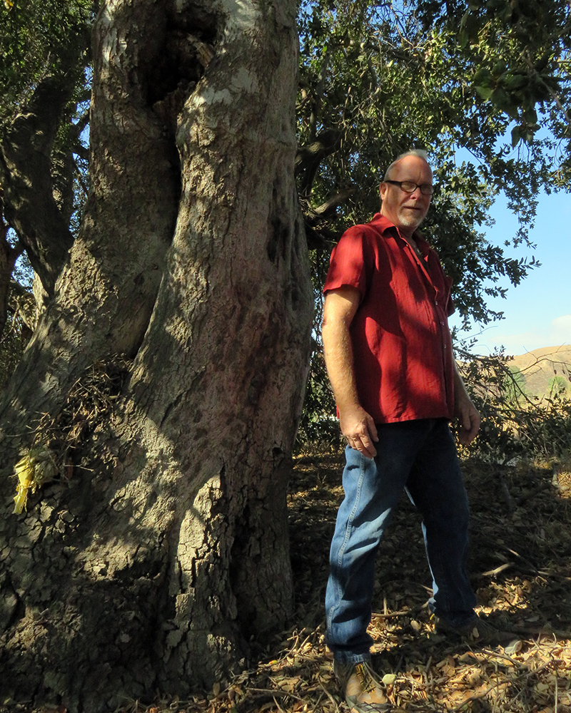 LW3435 San Francisquito Lady Linda Ties Yellow