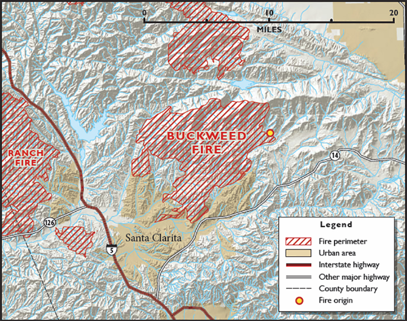 Buckweed Fire